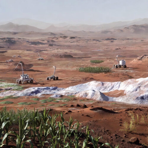 Elon, this is how you terraform Mars — and we figured it out in one hour while I was drinking.